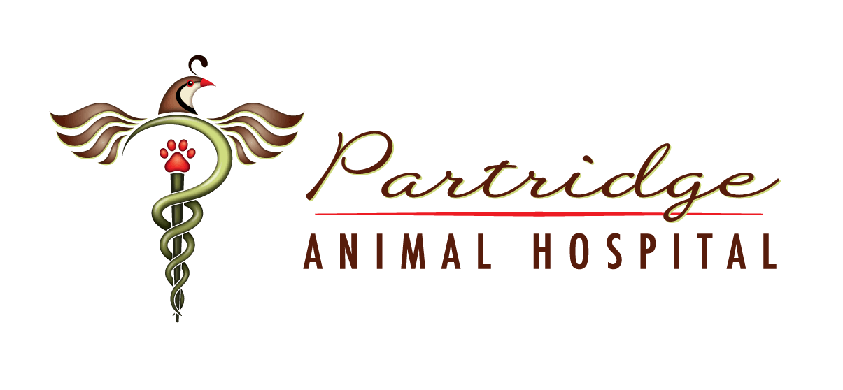 Vet Near Me 33702 - Partridge Animal Hospital - St. Petersburg